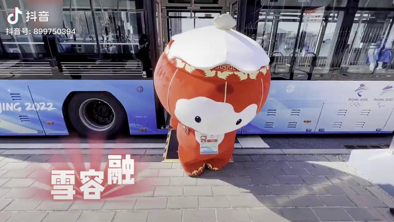 雪容融书包图片