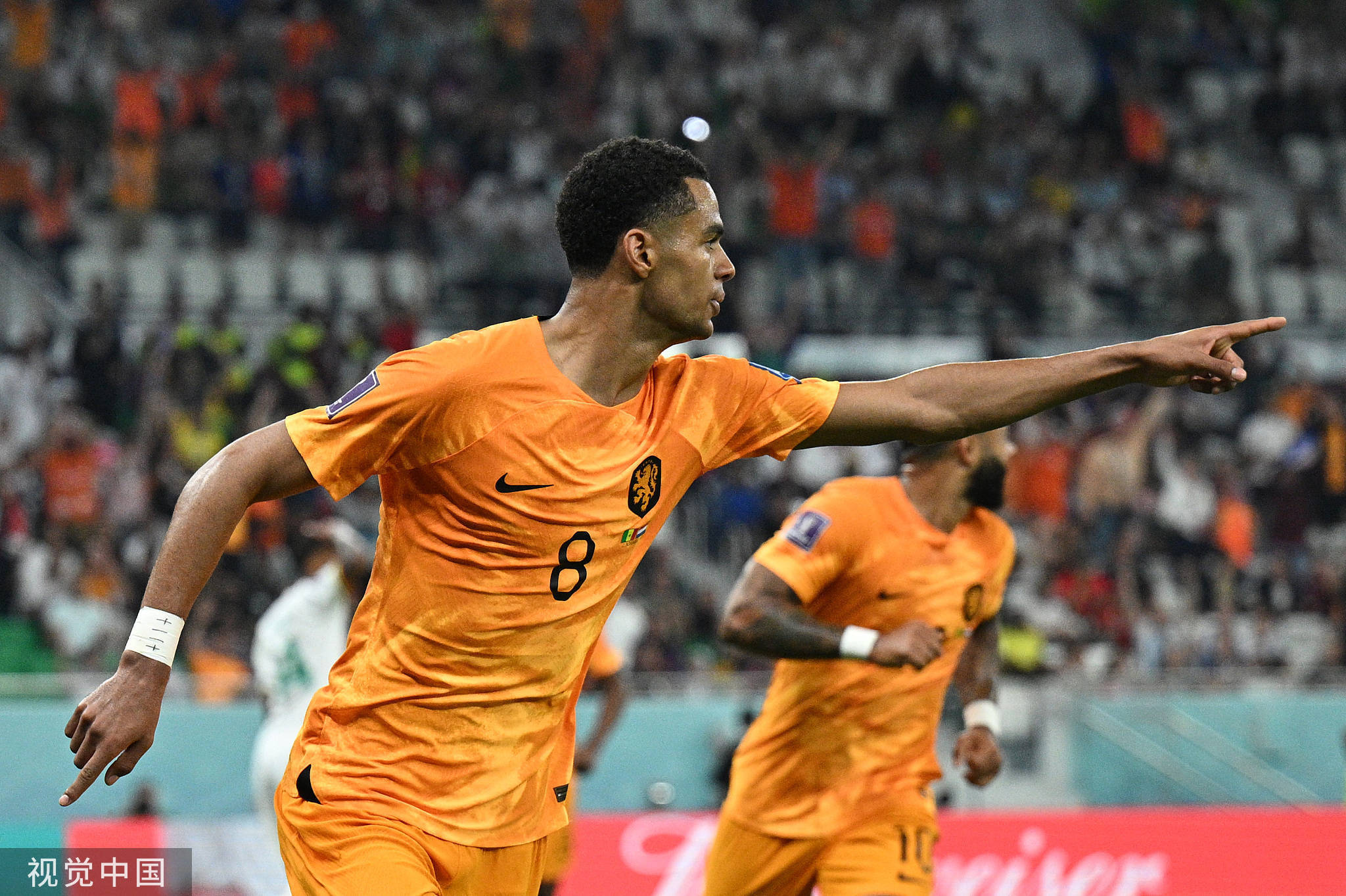 世界杯-加克波破门克拉森建功 荷兰2-0塞内加尔