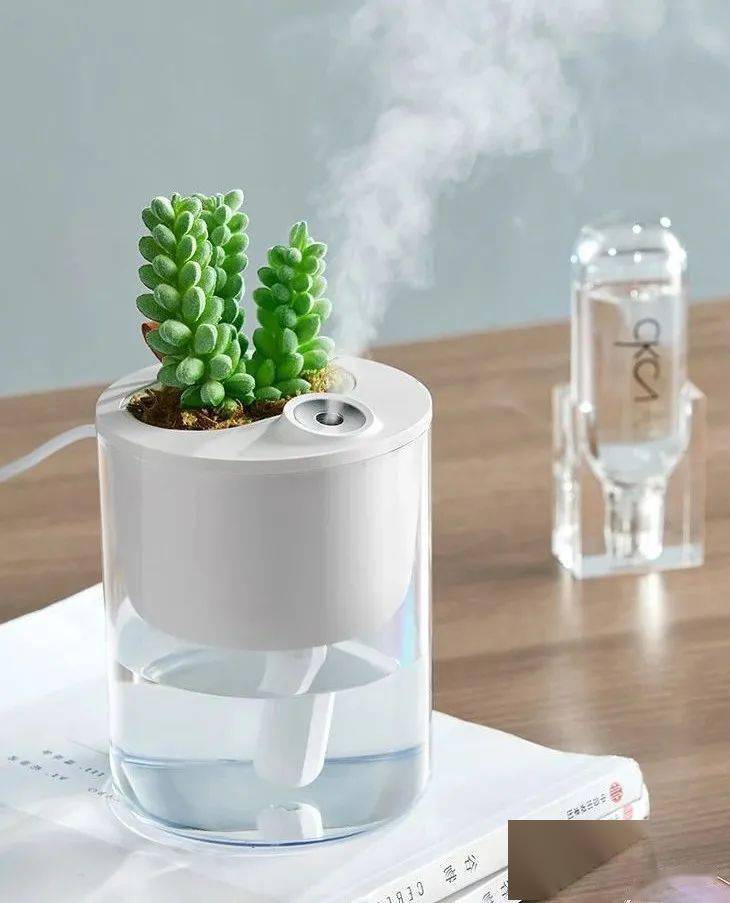 可以DIY种绿植的小小加湿器，暖心可爱，让你的桌面元气满满！
