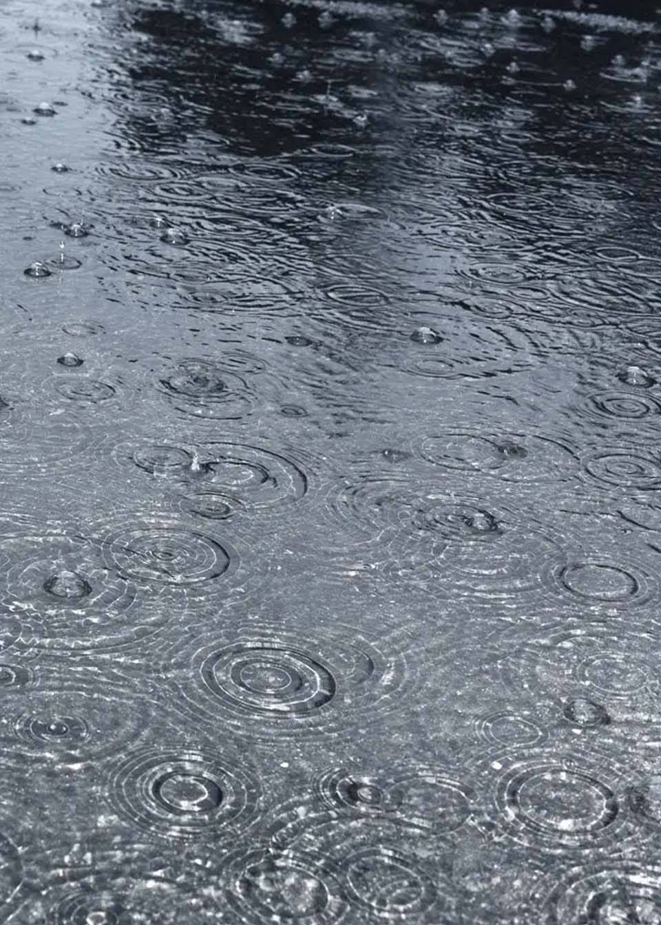 24日湘南局地大到暴雨！近三天湖南多阵雨，未来10天雨日偏多地区其他小到中雨 0587