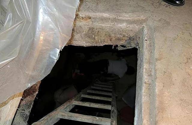 11年前,黑龙江一女子连杀4人并藏尸菜窖中,2012年被执行死刑_苏红