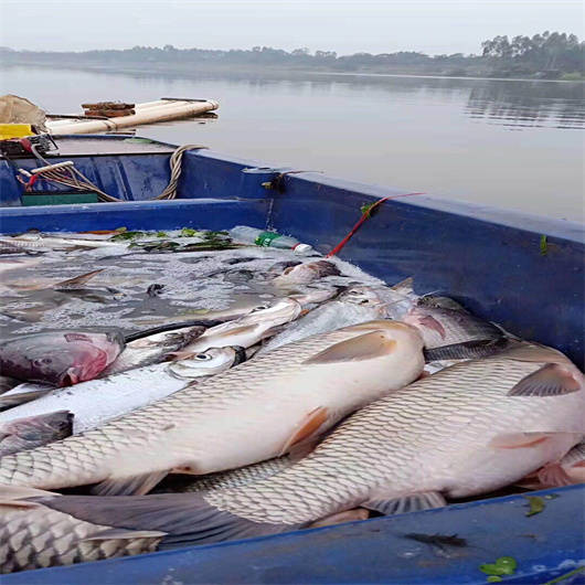 电子深水捕鱼的机头 电子船用捕鱼的机器哪种好_鱼儿_鱼情_情况