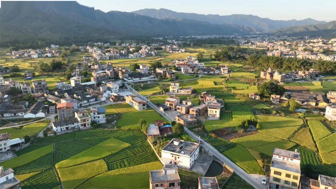 为人忠信,好事花生!连平高莞关于花生的故事,你知道多少?