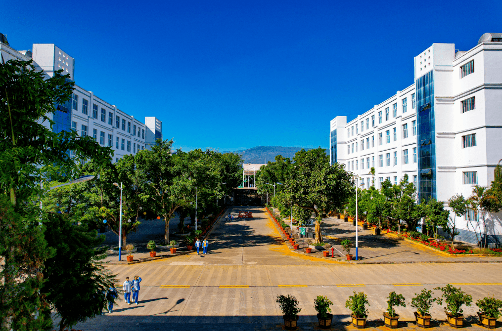 绿美"点亮"幸福生活丨晒一晒绿美临沧成绩单——绿能云县_建设_景区