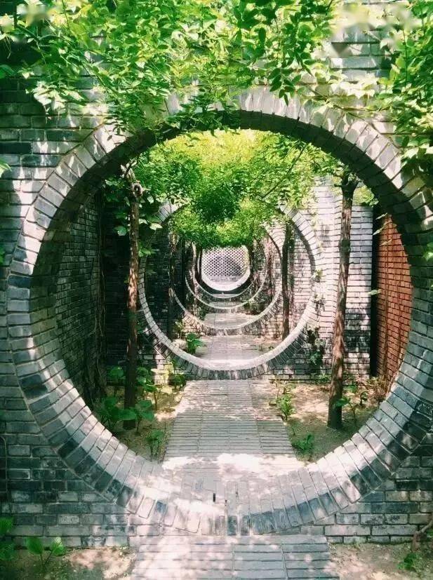 中国最美古建筑,一花一草,皆有画意,美哭了!_庭院_清供_自然