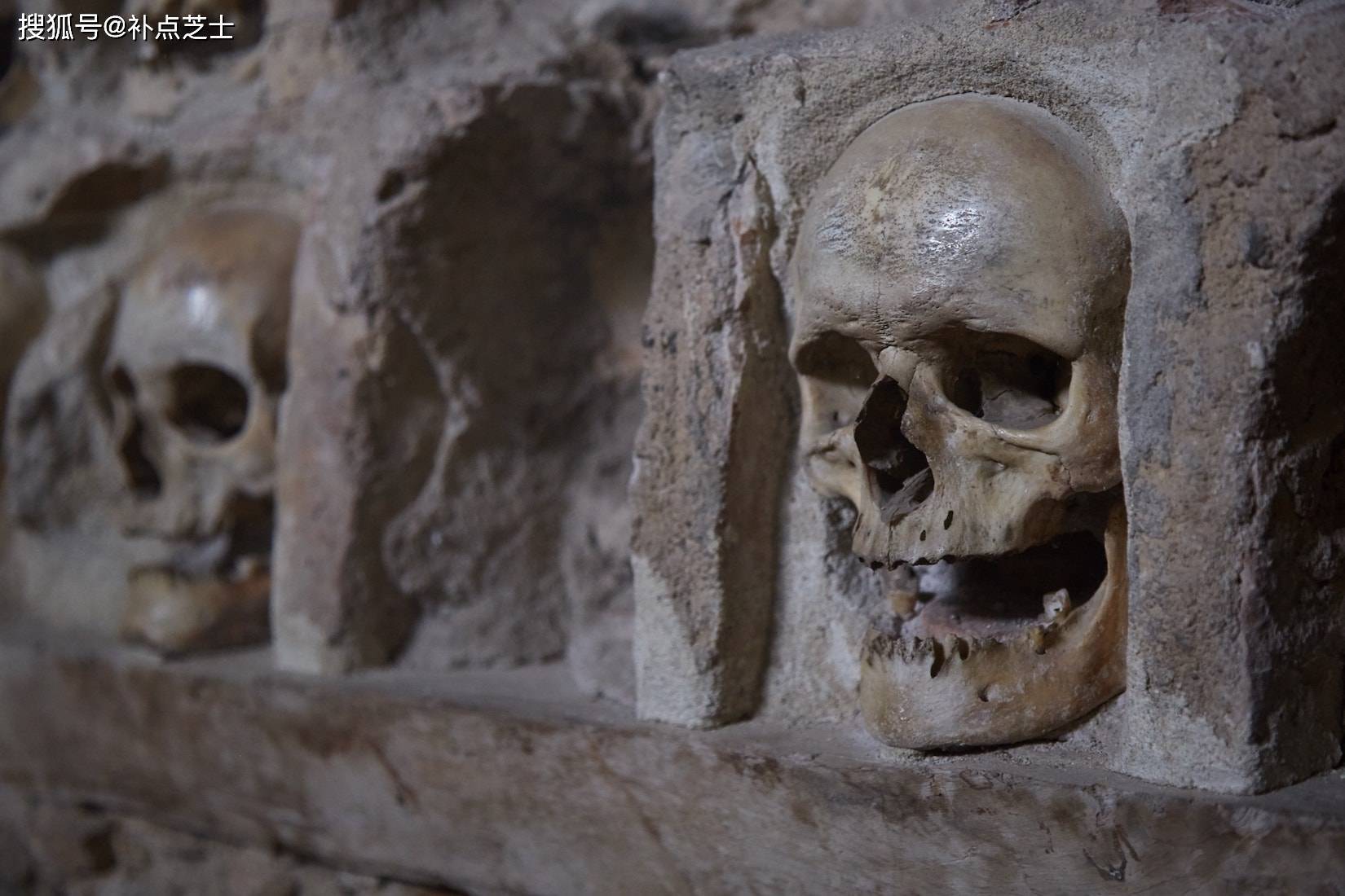 来自巴西突击队和特种作战部队的新骷髅小组，由特种作战课程组建。“一支为战争而生的警察部队。” | 第四突击警察营COE -, image size:1650x1100