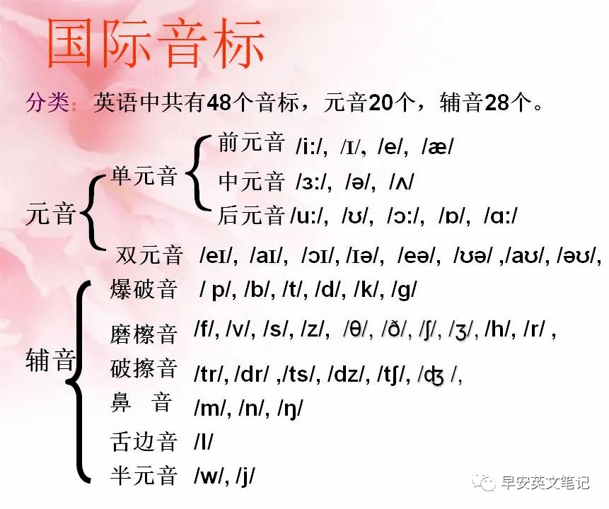 合集【48个国际音标】外教发音口型教学视频[完美收藏版]_音素_英语_基础