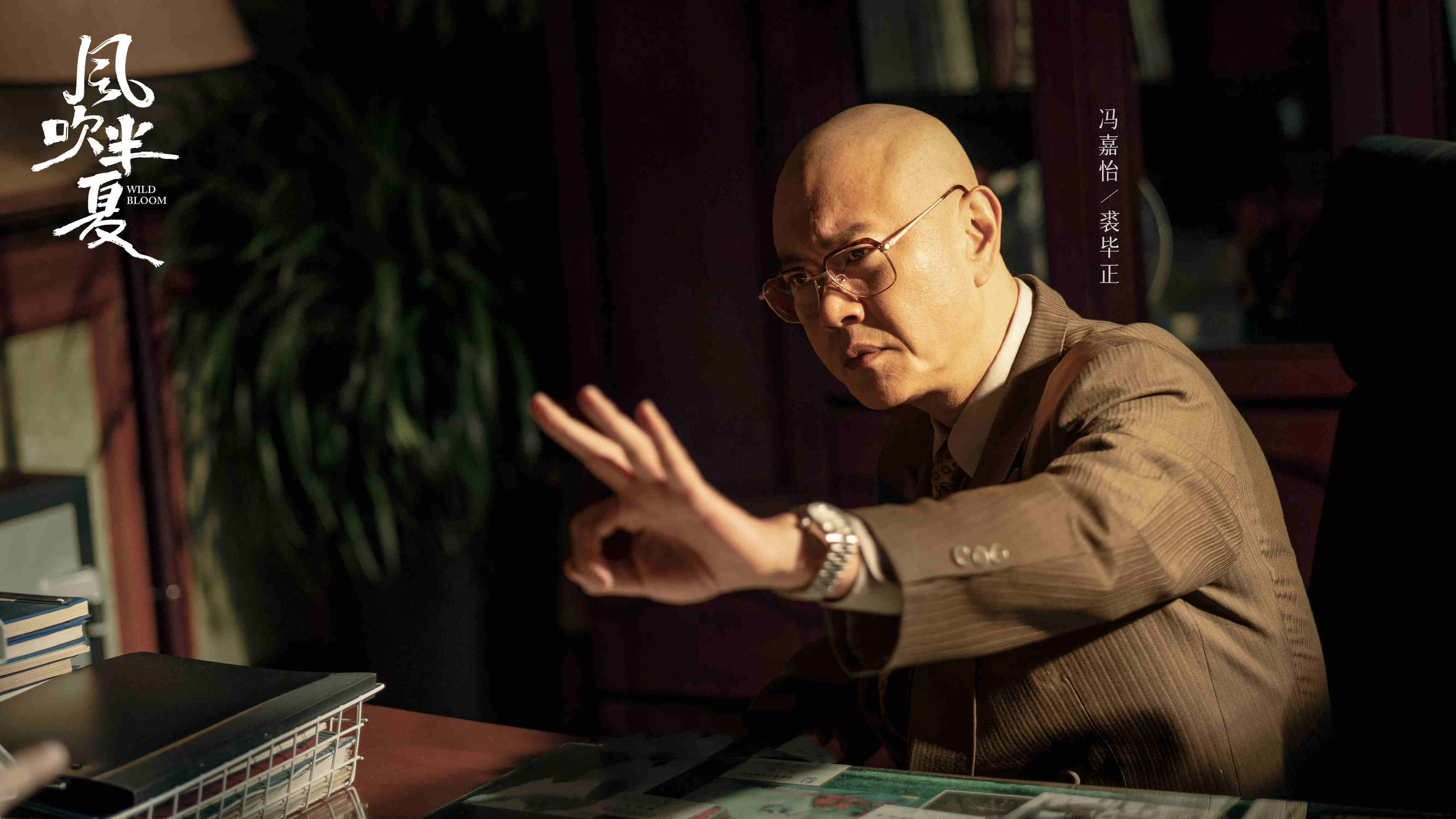 风吹半夏免费观看完整版高清电视剧_国产商战剧_女性创业剧