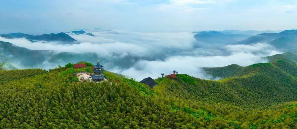 【夜读·名人笔下的宜兴】陈世旭:宜兴省庄竹海记_自然_太湖_登山