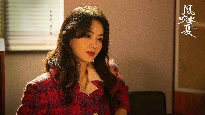 女性创业剧_风吹半夏免费观看完整版高清电视剧_国产商战剧