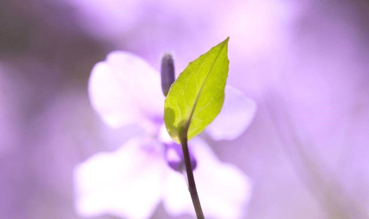 人到中年,别和3种人来往,除非你的钱花不完