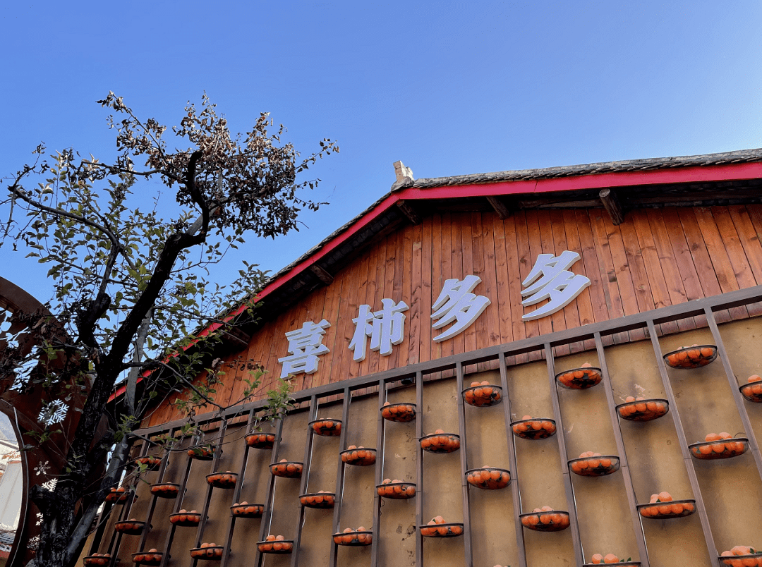 乡村振兴丨九寨沟县南坪镇下寨村:美丽乡村换新颜 绘就振兴新图景