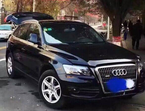 大爷开奥迪卖馕饼,网友笑称估计奥迪老板看到会气晕_搜狐汽车_搜狐网
