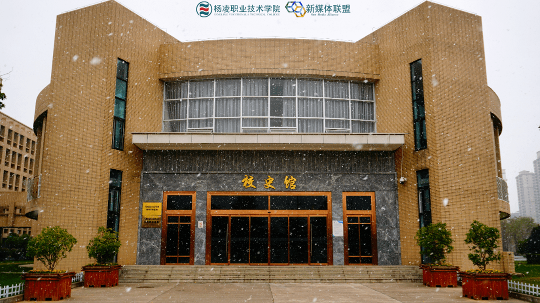 醉美杨职丨2022第一场雪,杨职学子开启"玩雪模式"~_雪花_初雪_校园