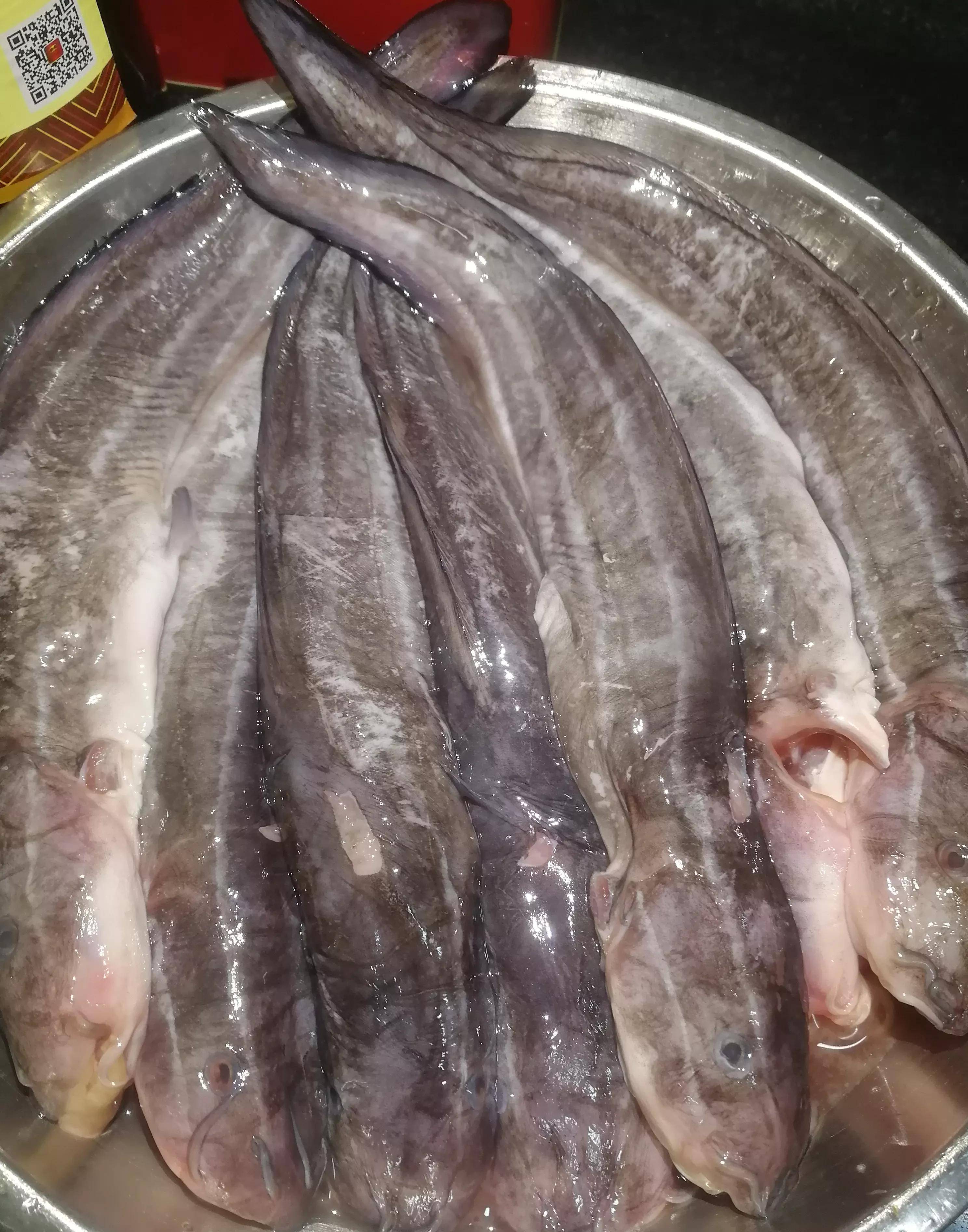 潮汕一家三口的晚餐,鱼肉菜都有,营养又美味,网友:天天有鱼吃_蒜头_毛