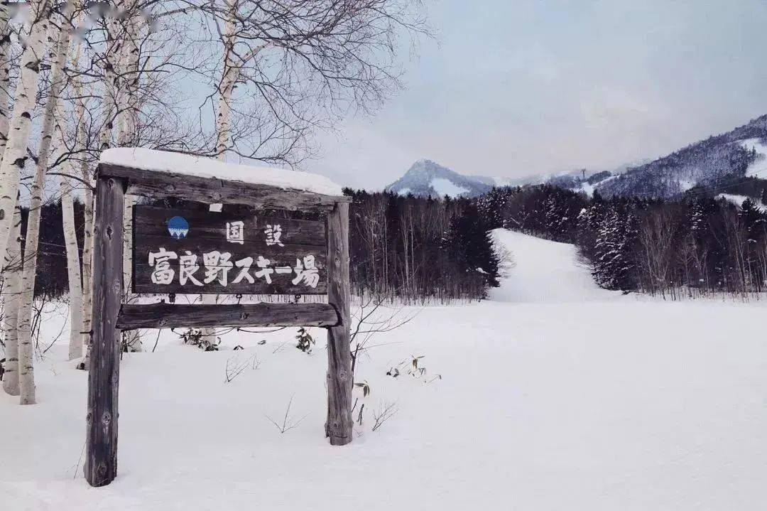 《雪国》_岛村_叶子_驹子