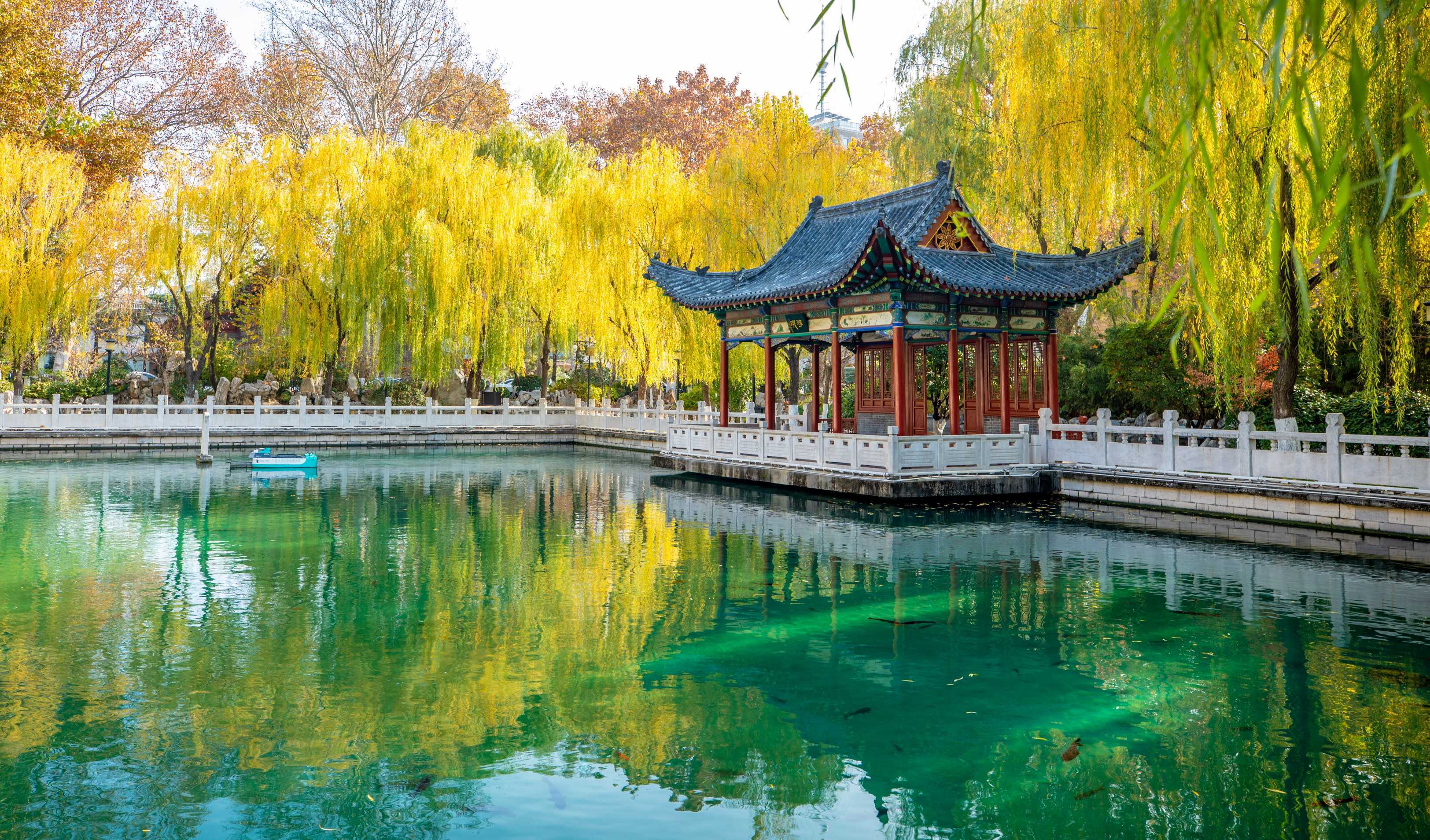 济南这处泉水初冬时节美景如画_情报员_齐鲁_珍珠