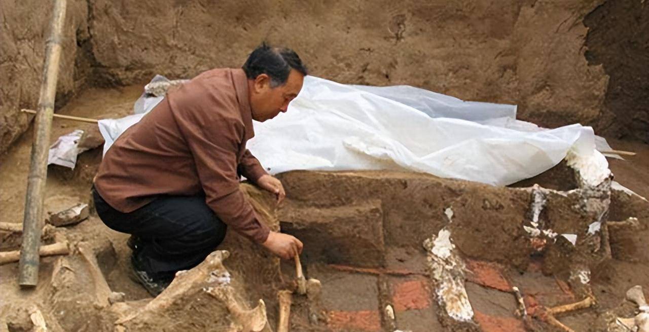 西安高校挖出超大古墓,墓主人究竟是谁?为何专家感到兴奋无比?