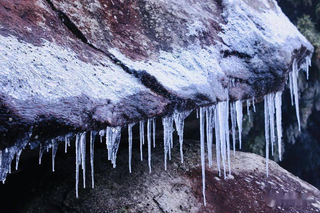 下雪了!南岳迎来今年第一场雾凇_衡山_全国_冰花