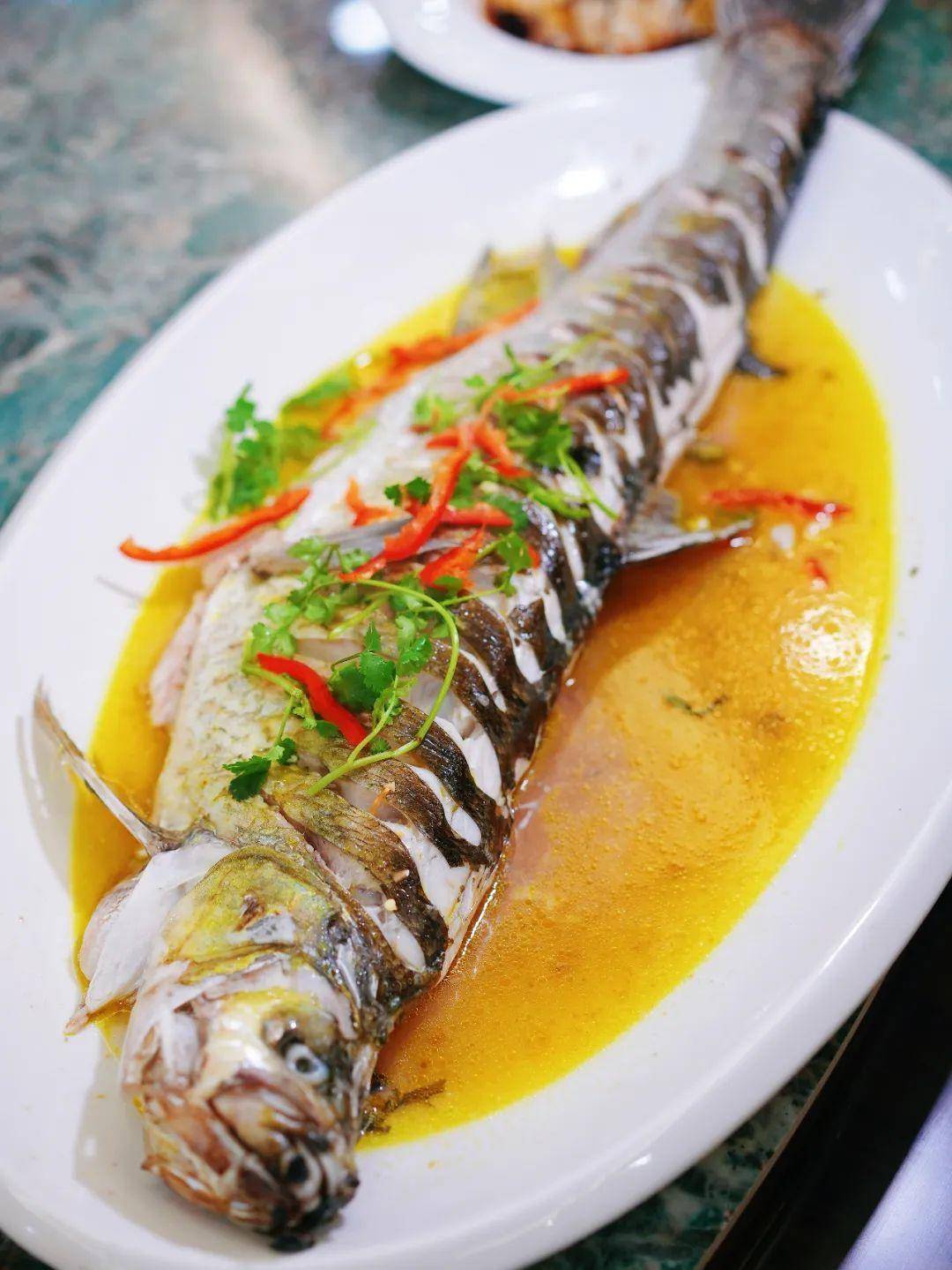 虎头鲨是一种典型的肉食性小型鱼种曾是鸭子的口粮如今一金难求