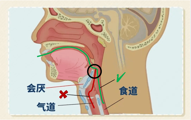 双十医典讲堂