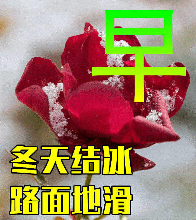 12月1日冬日早上好动态表情图片大全_祝福_问候_时光
