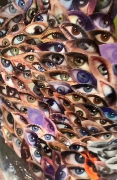 王丽坤分享百眼密恐图,好奇点开引不适!