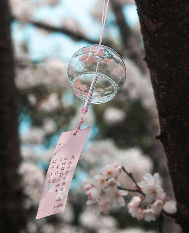 未曾相逢似相识,素未谋面,已相思.