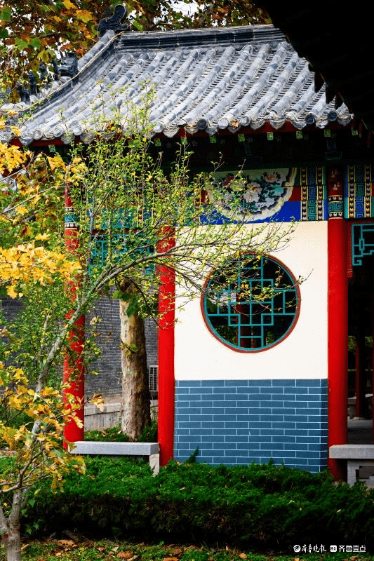 初冬的邢侗公园_临邑_郭培宝