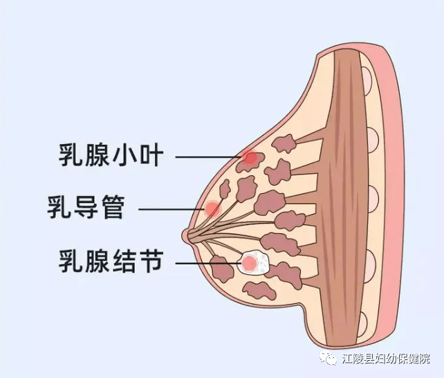 要缺点有切口较大、术后瘢痕影响美观、术中疼痛相对明显、对乳管的损伤较大等。为了改善这一缺点，现在可以
