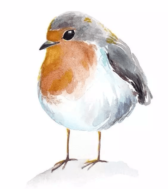 水彩画一只只肉嘟嘟小鸟_侵权_大小_人物