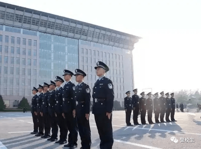 警服冬常服领花佩戴图片