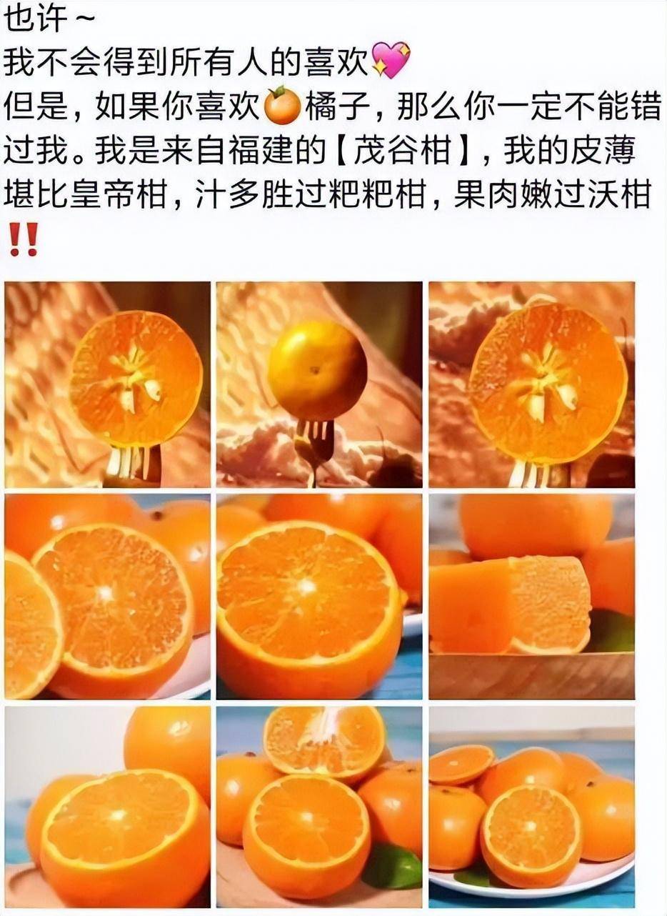 朋友圈卖柑橘宣传,你需要这些文案(柑橘橙类)_美味_水果_自然
