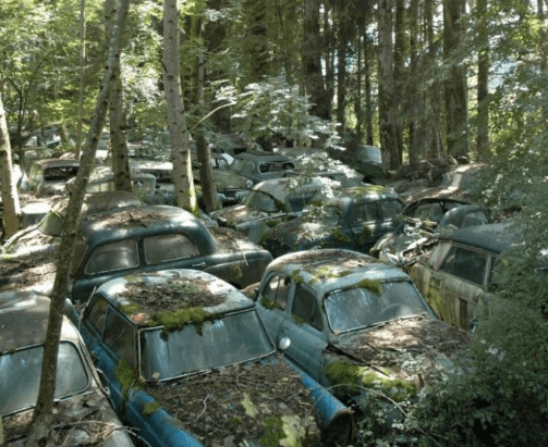 居民在野外发现数百辆僵尸车,立马拨打警方电话报料_大哥_探险_树林