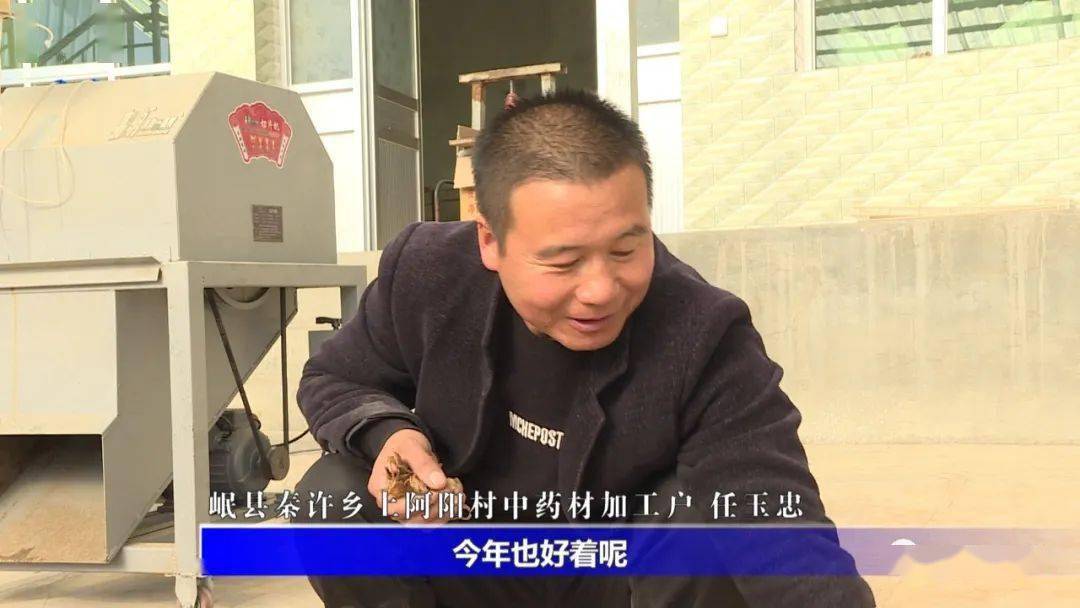 岷县秦许乡:夯实产业根基 筑牢增收渠道