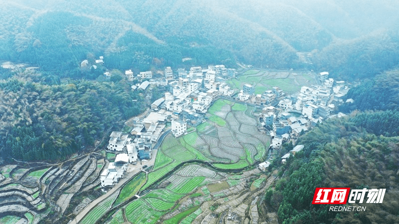 湖南新田：云雾缭绕村落映雪如仙境