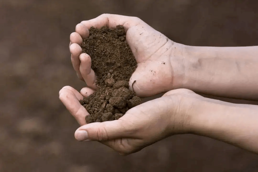 极其复杂的地形地貌与气候决定了农业种植产业的多样性,大田,果树