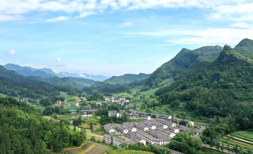 【乡村振兴进行时】洛龙镇:旅游支部引领乡村旅游提质_游客_大塘_全村