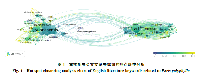 2英文文獻關鍵詞熱點分析按照上述檢索方式檢索英文數據庫,以