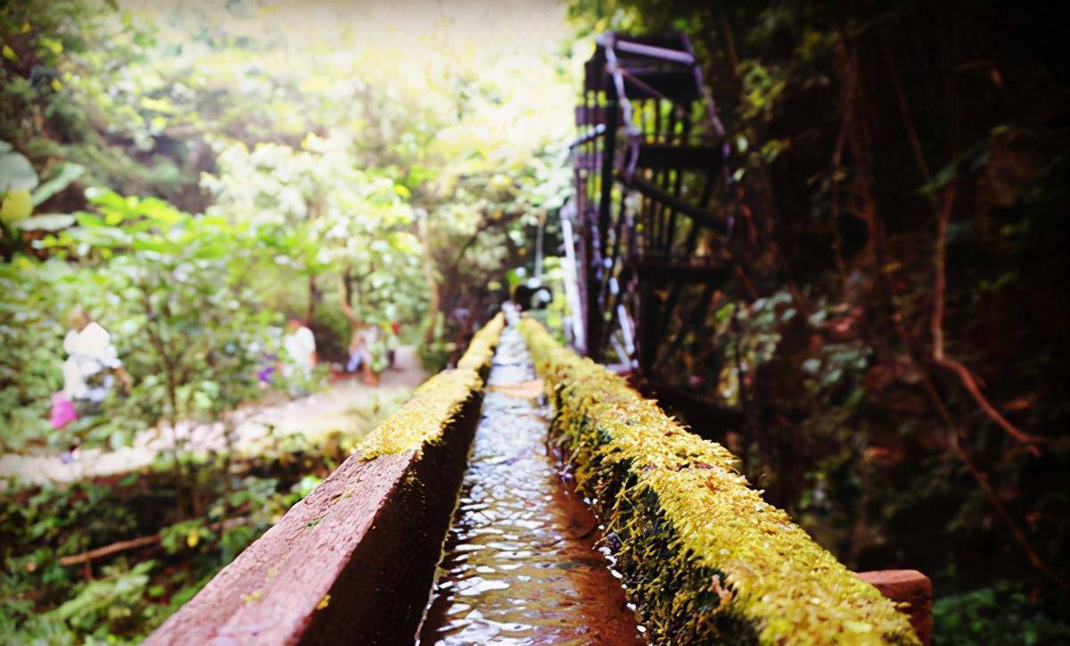 来广东德庆盘龙峡漂流!就问你敢不敢_景区_夏天_瀑布