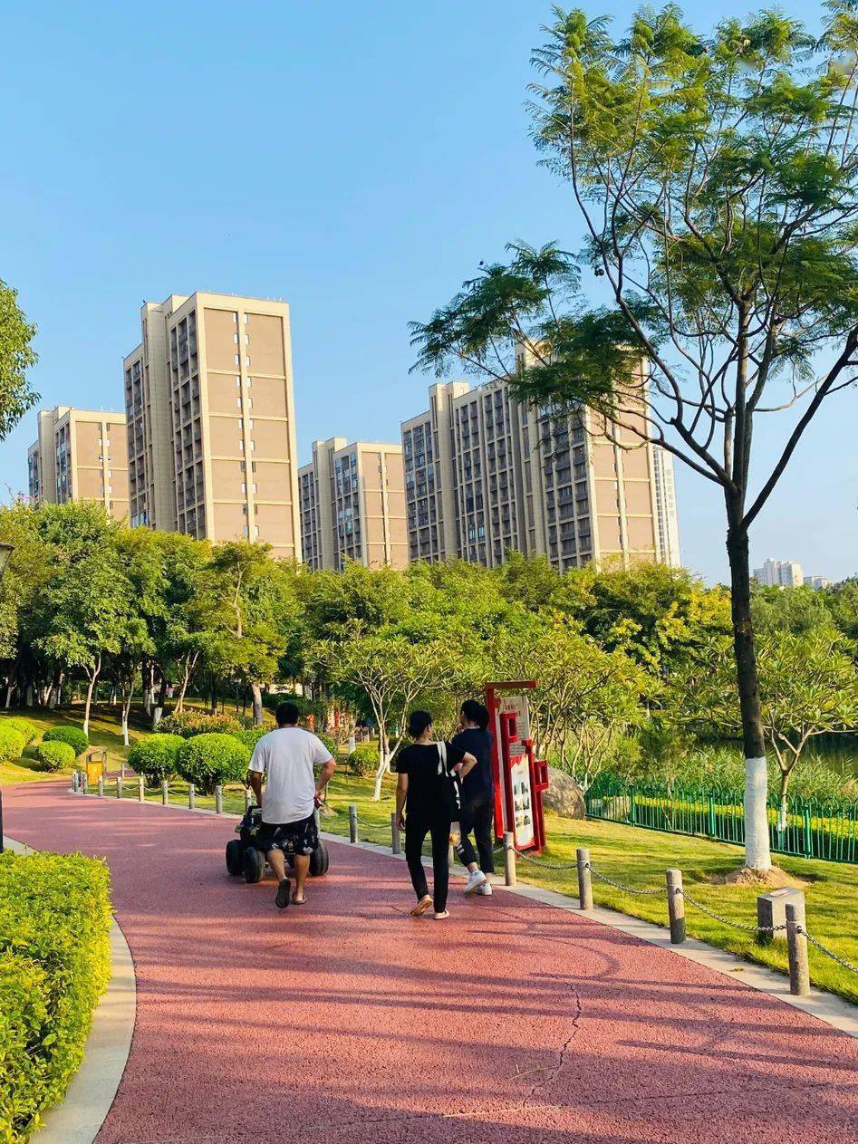 免费的厦门网红打卡点,高颜值的公园,夜市小吃.就等你了!