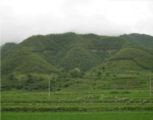 父母_山脉_地方