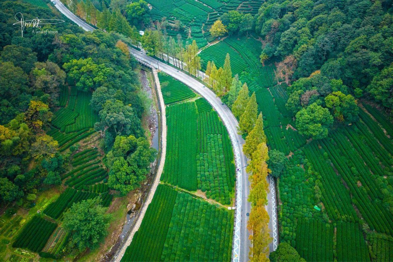 小道是杭州秋色最美的地方,离西湖仅仅5公里_梅灵南路_风景_梅家坞