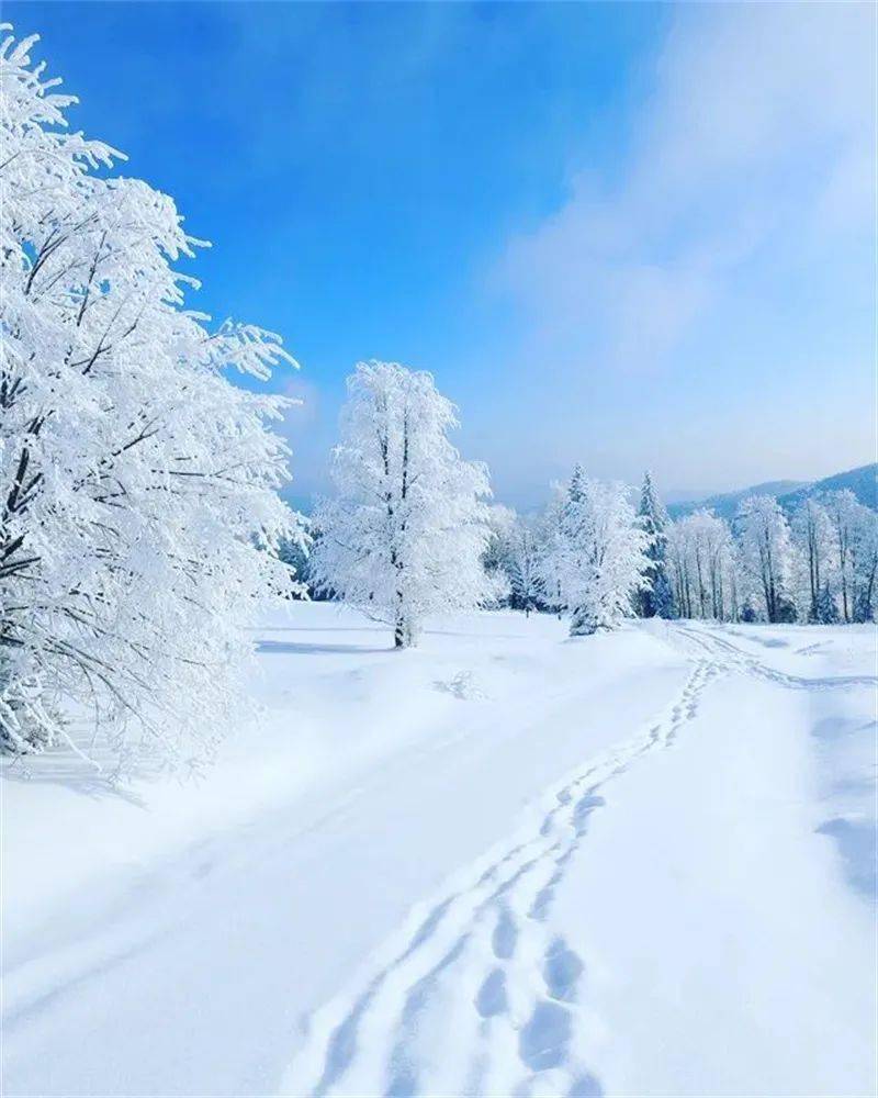 藍天白雪,生生不息_photo_by_那朵