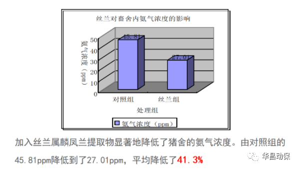 冬季猪舍氨气重怎么办，两招解决问题