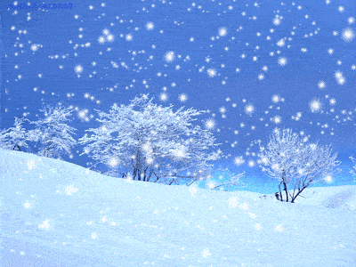 我爱冬天的雪.冬天的雪最富有诗意,她飘飘洒洒,任性不羁.