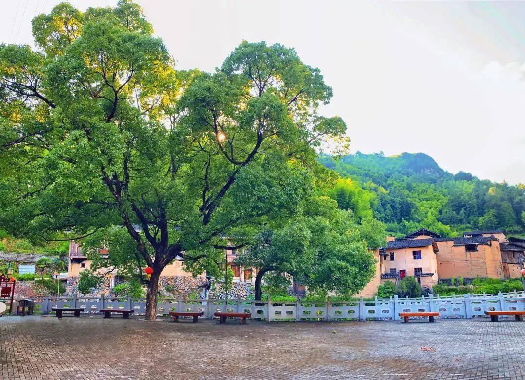 骑行屏南 | 来屏南寿山,徒步茶盐古道,骑寻古村秋色_宁德_文化_国民党