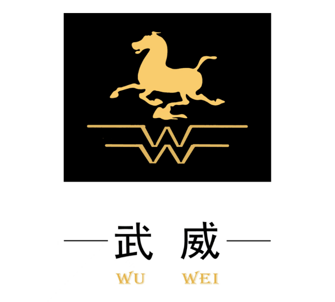 甘肃省武威市文化旅游统一标志(logo)征集网络投票开始啦!