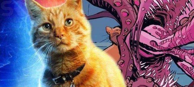 《惊奇队长》惹人爱的"橘猫"噬元兽80%是特效,我真的没看出来_漫威