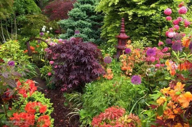 英国著名"四季花园"的绝美风景_时间_一生_garden